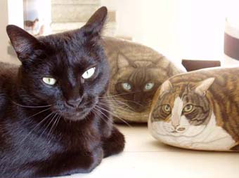 Hand Painted Rock Animals